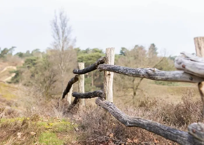 Ferienhof In Weeze-wemb